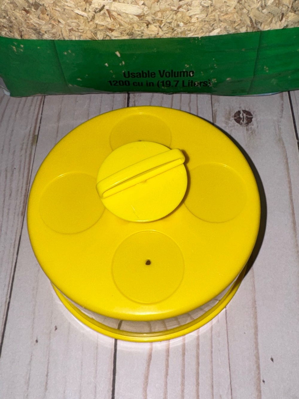Hamster/Gerbil supplies - Picture 8 of 11